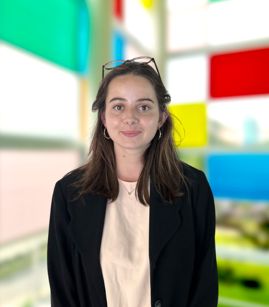 Gallery and Events Assistant